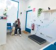 clinica-para-perros-y-gatos-en-el-municipio-de-Moralzarzal