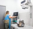 veterinairo-en-Moralzarzal-para-mascotas