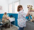 veterinarios-para-la-salud-y-alimentación-de-mascotas-en-la-Sierra-de-Madrid
