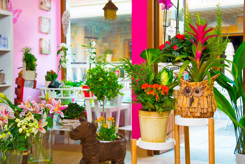 floristeria-y-plantas-para-el-hogar-en-moralzarzal