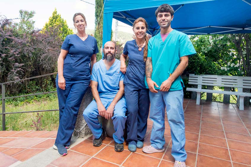 jara-veterinario-centro-salud-mascotas